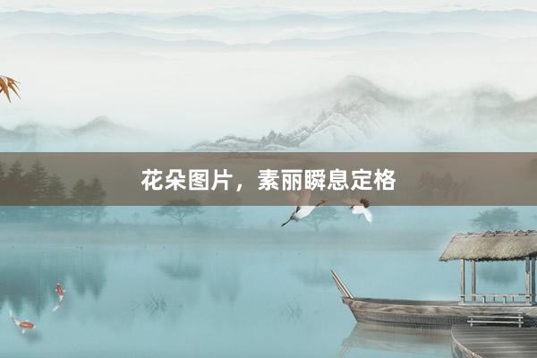 花朵图片，素丽瞬息定格