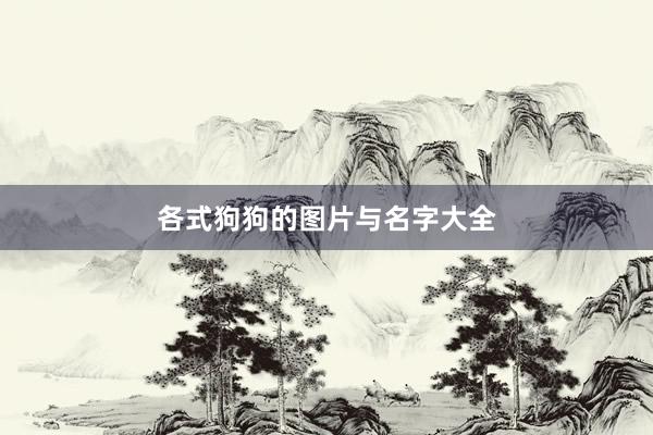 各式狗狗的图片与名字大全